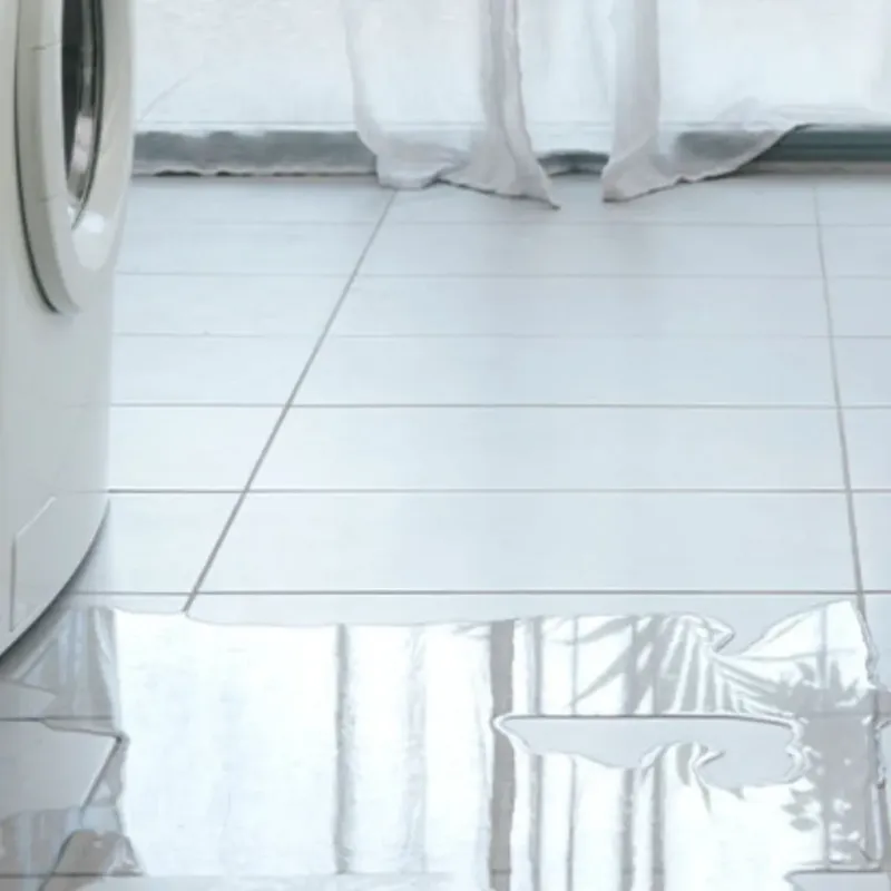 Appliance Leak Cleanup in North Salt Lake, UT
