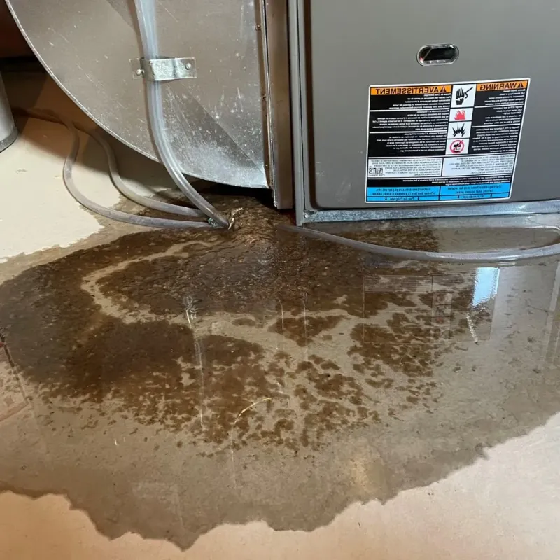 Pipe Burst and Leak Restoration in North Salt Lake, UT